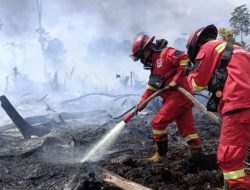 Kemenhut Intensifkan Pemadaman Karhutla Kalbar