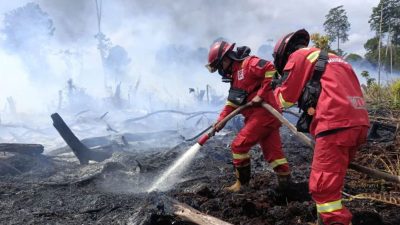Kemenhut Intensifkan Pemadaman Karhutla Kalbar