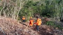 Polisi Evakuasi Pohon Tumbang di Jalur Sintang-Nanga Pinoh